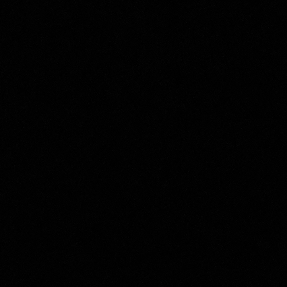 Black Garment